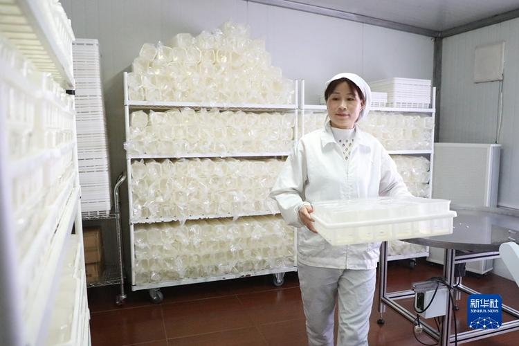 新华全媒马铃薯良种繁育的技术创新小康路